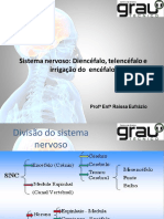 Sistema Nervoso: Diencéfalo, Telencéfalo e Irrigação Do Encéfalo