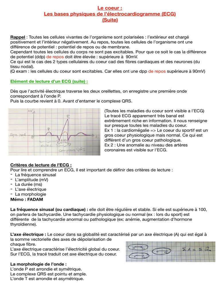 Lecture et Analyse de l'ECG | PDF | Électrocardiographie | Spécialités ...