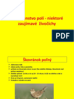 Spoločenstvo Polí - Živočíchy Nad Rámec Učebnice