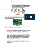 Informe Sobre La Nutrición en Los Ecosistemas.2