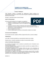 Exemple de Programme de Formation