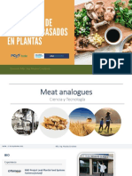 Material - Análogos de Carne 2021