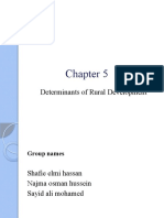 Determinants of Rural Development