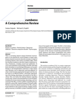 The Nucleus Accumbens: A Comprehensive Review