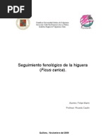 Seguimiento Fenologico de La Higuera