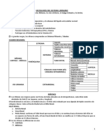 Histologia Del Sistema Renal - Geneser