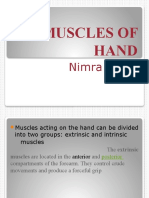 Muscles of Hand: Nimra Faraz