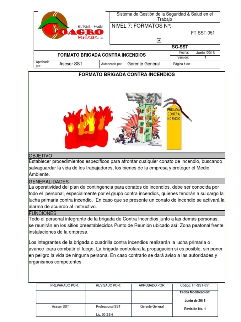 Formato Brigada Contra Incendios SST | PDF