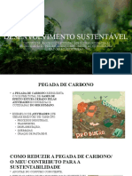 Desenvolvimento Sustentável