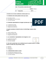 Prueba Sumativa 3bciencias Semana 09 2014