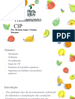 Treinamento CIP: Por: Reviane Lima e Vivienn Marques