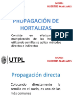 Propagación de Hortalizas