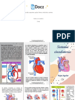 Accede A Apuntes, Guías, Libros y Más de Tu Carrera: Triptico-S-Circulatorio 2 Pag