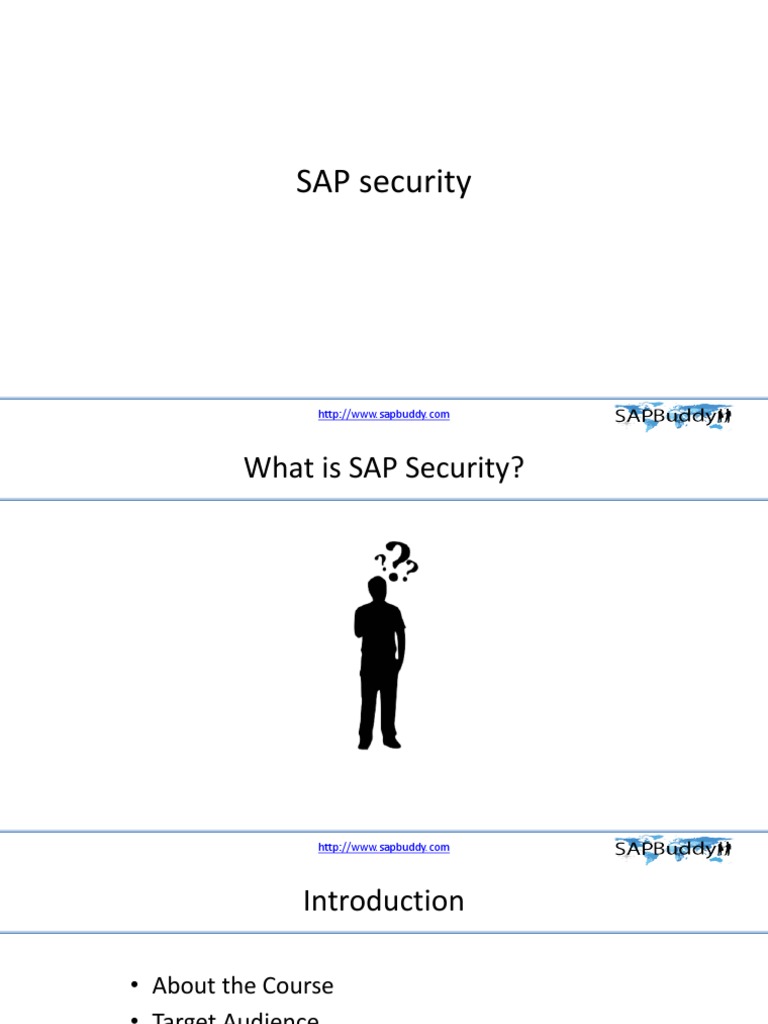 Comprehensive Guide to SAP Security | PDF
