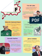 Manual de Usuario FMF