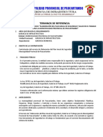 TDR Plan de Seguridad y Salud Ocupacional Paucartambo