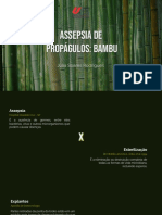 Assepsia de Bambu