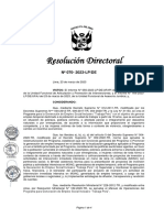 Resolución Directoral