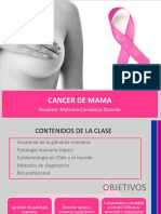 Cancer de Mama: Docente: Matrona Constanza Stuardo