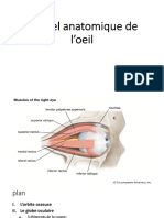 Rappel Anatomique de L'oeil: DR - Bensaid