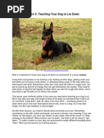 Volhard Puppy Aptitude Test | PDF | Obedience Training | Dogs