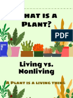 What Is A Plant