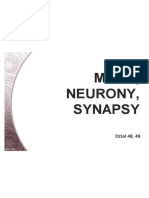 Mózg, Neurony,: Synapsy