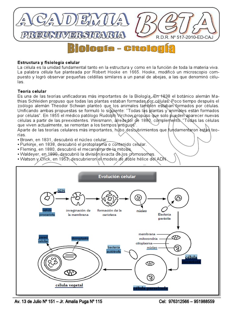 Estructura y Función de las Células | PDF | Citoplasma | Biología Celular)