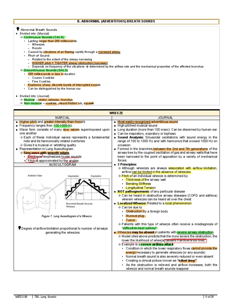 Abnormal Lung Sounds Overview | PDF | Sound | Respiratory Tract