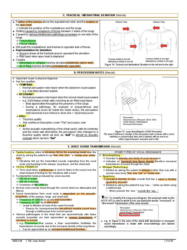 Lung Sounds 9 | PDF | Sound | Human Voice