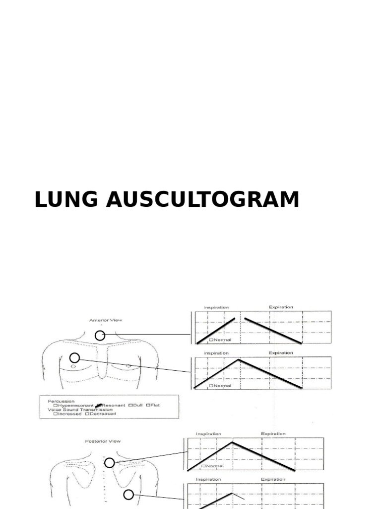 Lung and Heart Auscultation Report | PDF