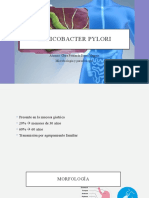 Helicobacter Pylori: Alumna: Clara Fernanda Reyes Negrete Microbiología y Parasitología