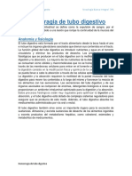 Hemorragia del Tubo Digestivo: Clasificación, Etiología y Cuadro Clínico