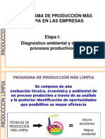 Programa de Producción Más Limpia en Las Empresas