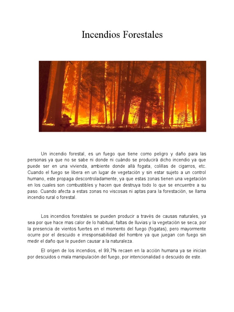 incendios-forestales-pdf-fuego-fatuo-incendios