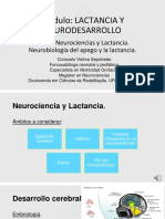 Clase 1 Neurociencias y Lactancia Neurobiologia Del Apego y La Lactancia