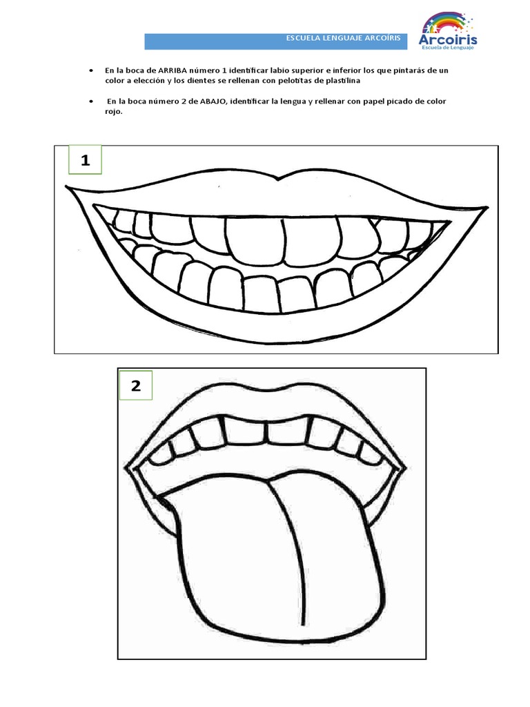 Esquema Bucal Pdf