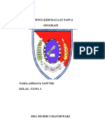 Kliping Kebudayaan Papua Geografi