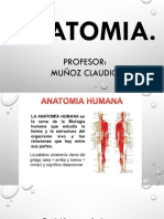 ANATOMIA CLASE 2 (Autoguardado)