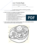 Evaluaciion Naurales 4. 1P