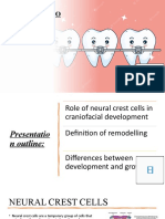 Essential Embryology of Facial Structures