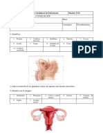 Cuidados auxiliares del aparato reproductor