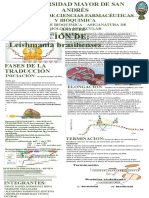 Traducción De: Leishmania Brasilienses: Facultad de Ciencias Farmacéuticas Y Bióquimica