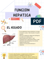 Funcion Hepatica