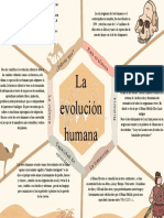 La Evolución Humana: Raíz Evo Lutiv A