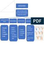 Mapa Conceptual de Bioseguridad