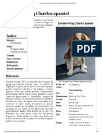 Articulo Cavalier King Charles Spaniel