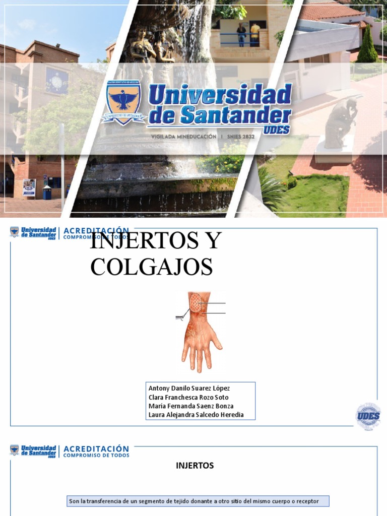 Diferencias entre colgajos e injertos | PDF | Piel | Perdida de cabello