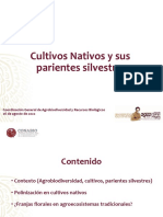 Cultivos Nativos y Sus Parientes Silvestres - Oswaldo Oliveros