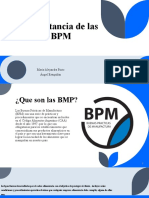 Importancia de Las BPM: María Alejandra Pinto Ángel Estupiñán